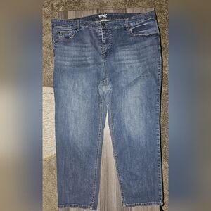 Terra & Sky 24W Petite Straight Jeans Women's Plus Size Pants